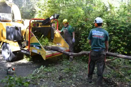 tree services Hiawatha